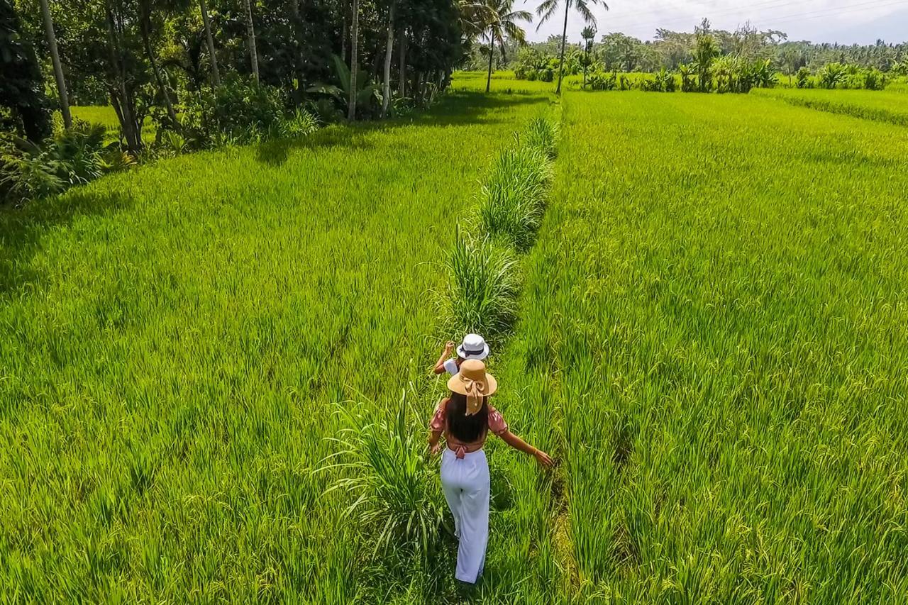 Puri Lumbung Village Payangan Exterior photo